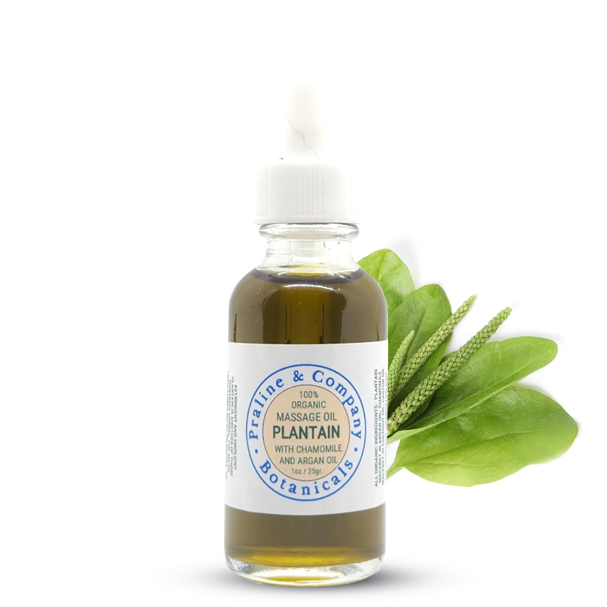 Comfrey Massage Salve - 100% Organic & Natural Herbal Salve - Handmade Salve Ointment with Macerate of Arnica, Argan & Castor Oil - Soothing Body Balm for Relief & Relaxation - 1oz