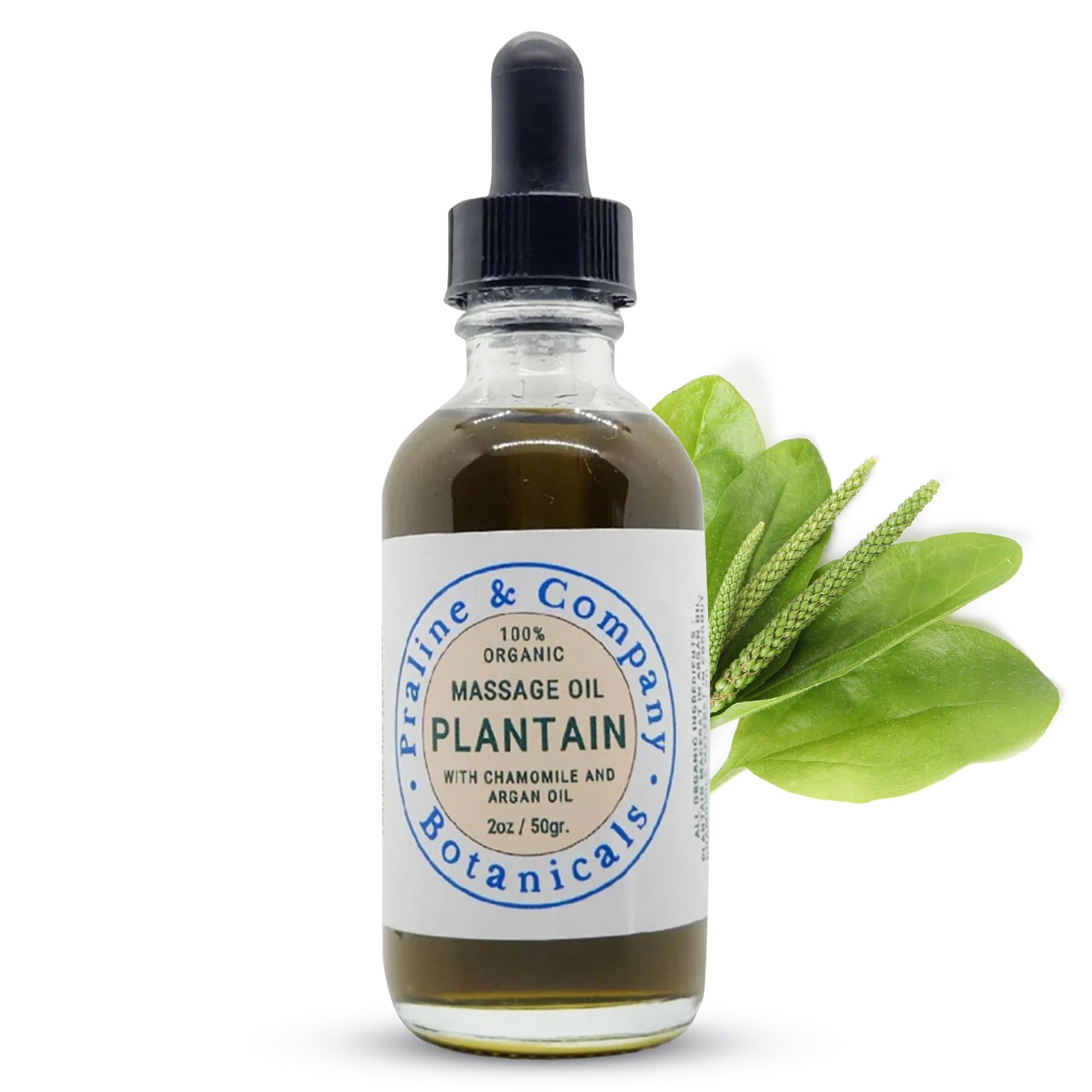 Comfrey Massage Salve - 100% Organic & Natural Herbal Salve - Handmade Salve Ointment with Macerate of Arnica, Argan & Castor Oil - Soothing Body Balm for Relief & Relaxation - 1oz