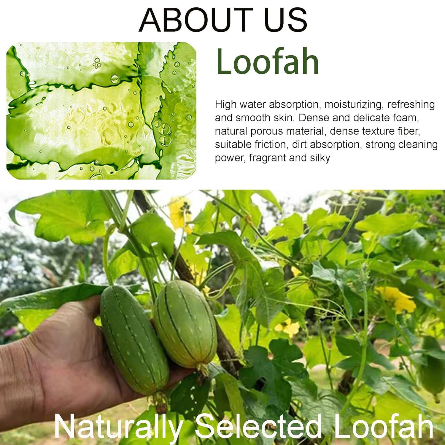 Aloe Vera Hademade Loofah Soap, Natural Exfoliating Clean Bar, Gentle Cleansing Massage Moisturizing & Repairing, Organic Handmade with Aloe Vera Plant Oil Body Bath Cream, Aloe