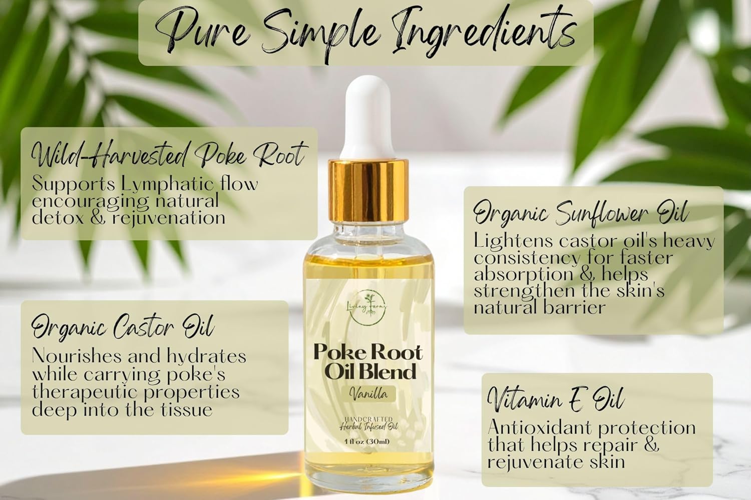 Organic Poke Root Oil with Castor Oil & Vanilla for Cysts, Boils, Fibroids, Swollen Lymph Nodes, Breast & Joint - Vegan Lymphatic Support Massage Oil - Handmade in The USA